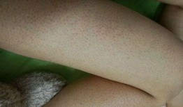 吃鸡皮肤游戏爆料大全最新,盘点最新热门角色与炫酷特效